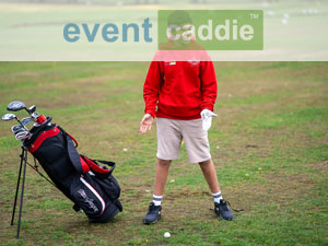Brent Valley Parakeets
