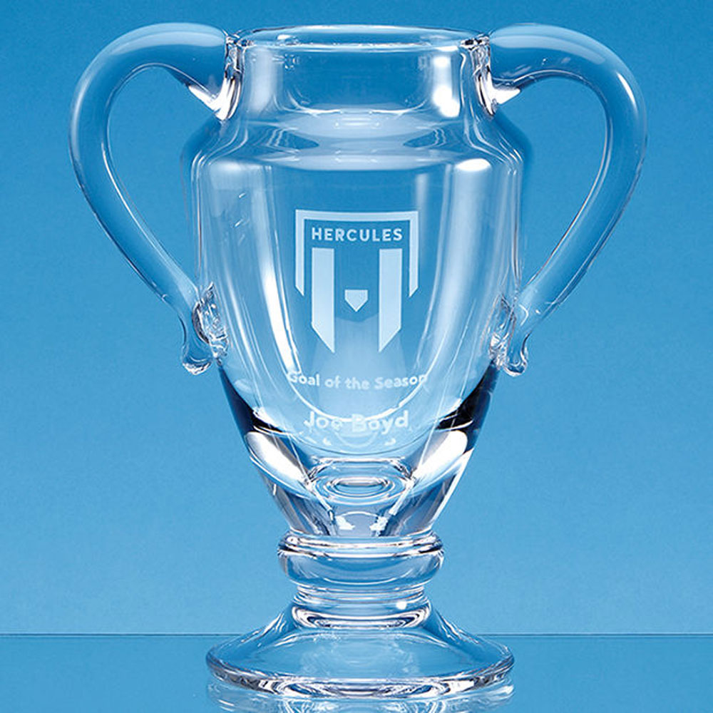 21.5cm Handmade Double Handled Trophy Cup with Engraving